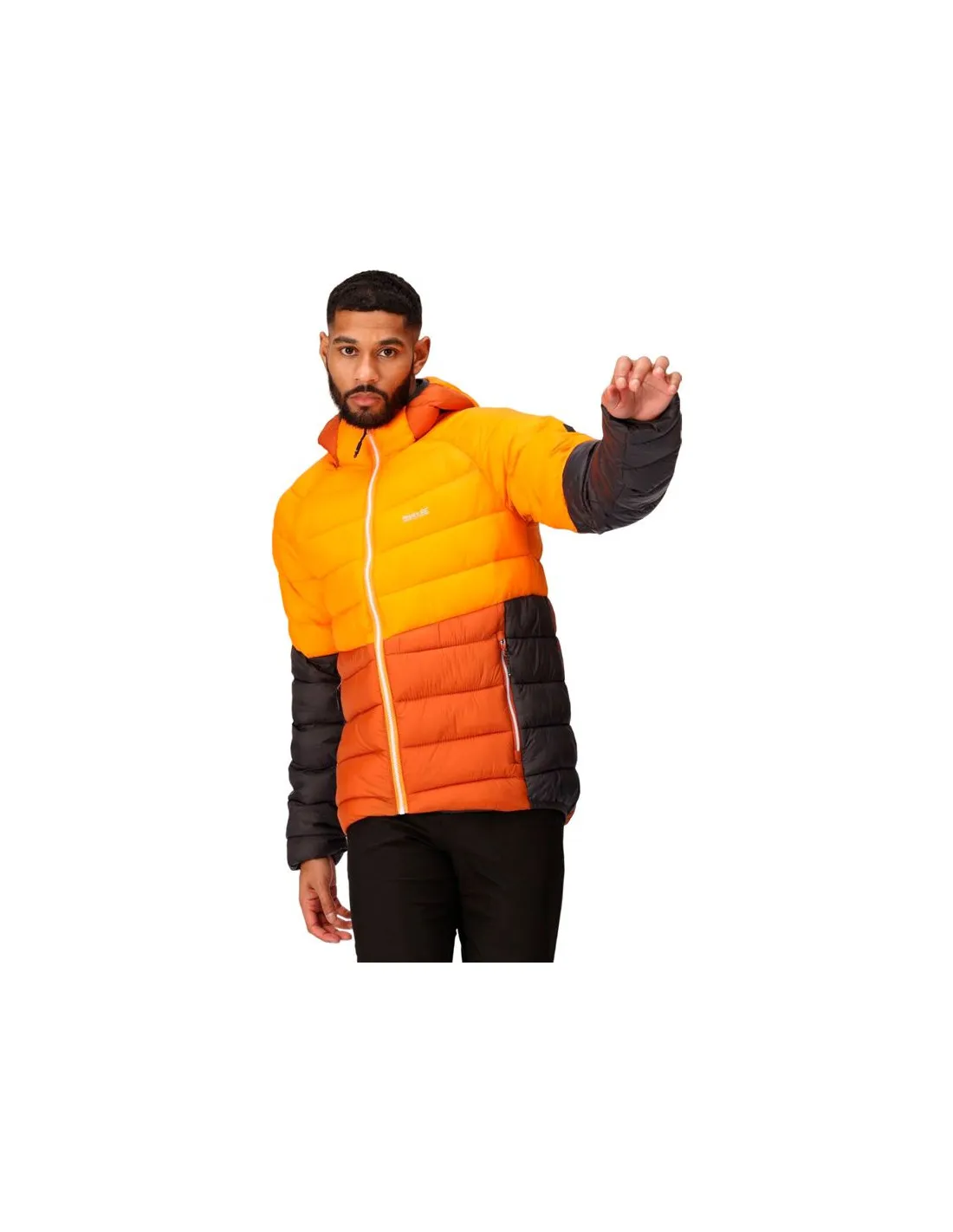 Veste de Montagne Regatta Harrock II OraPep/BrnCo Homme